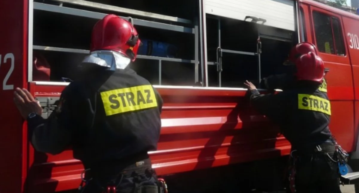 Na zdjęciu strażacy
