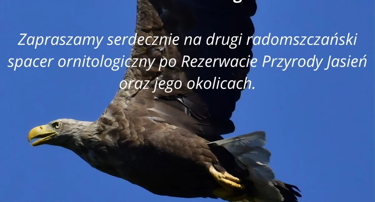 Na zdjęciu: Plakat, fot. Facebook/Powiat Radomszczański