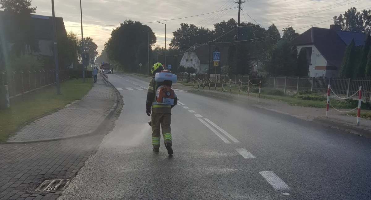Na zdjęciu: Akcja trwała kilka godzin, fot. Facebook/OSP Silnica
