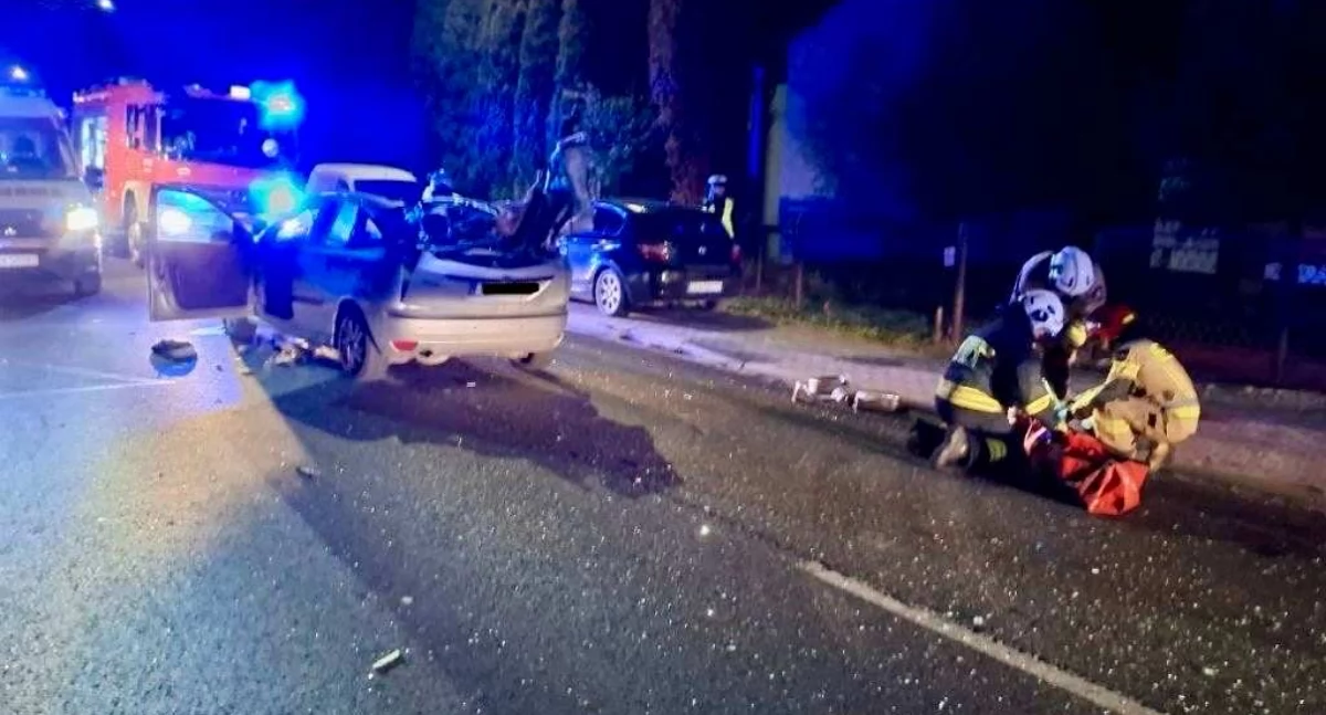 Wypadki drogowe, Wypadek ulicy Reymonta Strzałkowie Samochód zderzył koniem - zdjęcie, fotografia