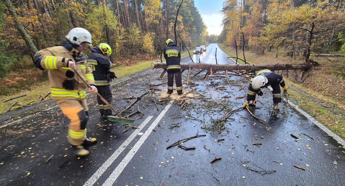 Na zdjęciu: DW 785, a na niej powalone drzewo, fot: OSP KSRG Żytno