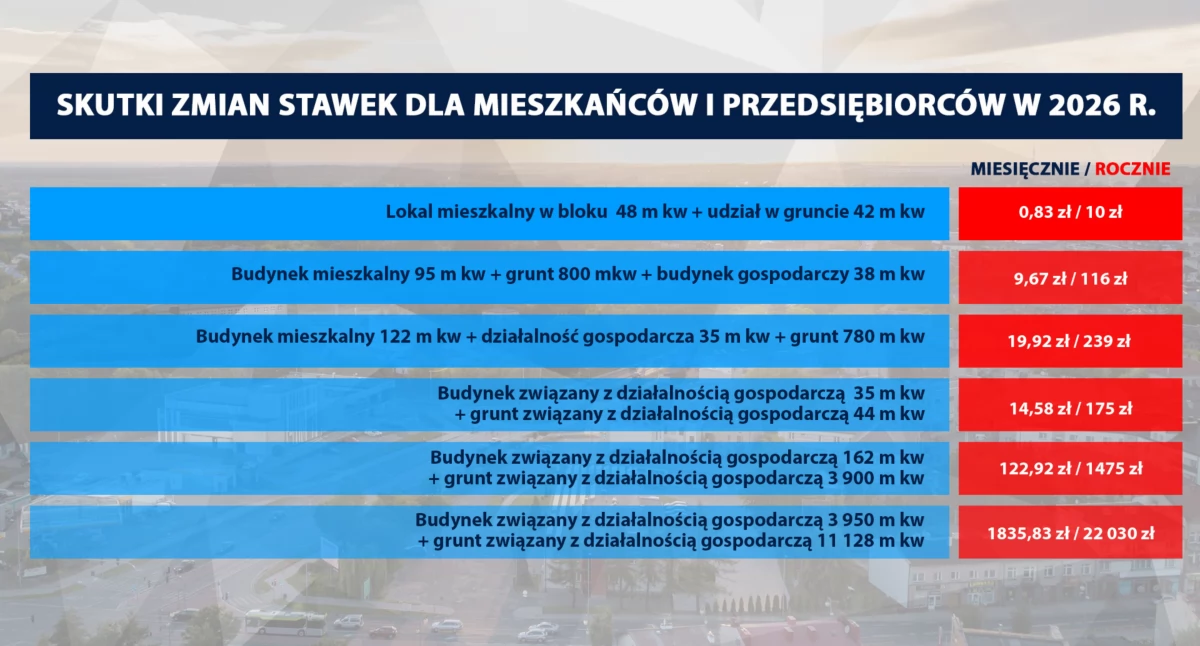 Na zdjęciu: Prezentacja przygotowana przez miasto
