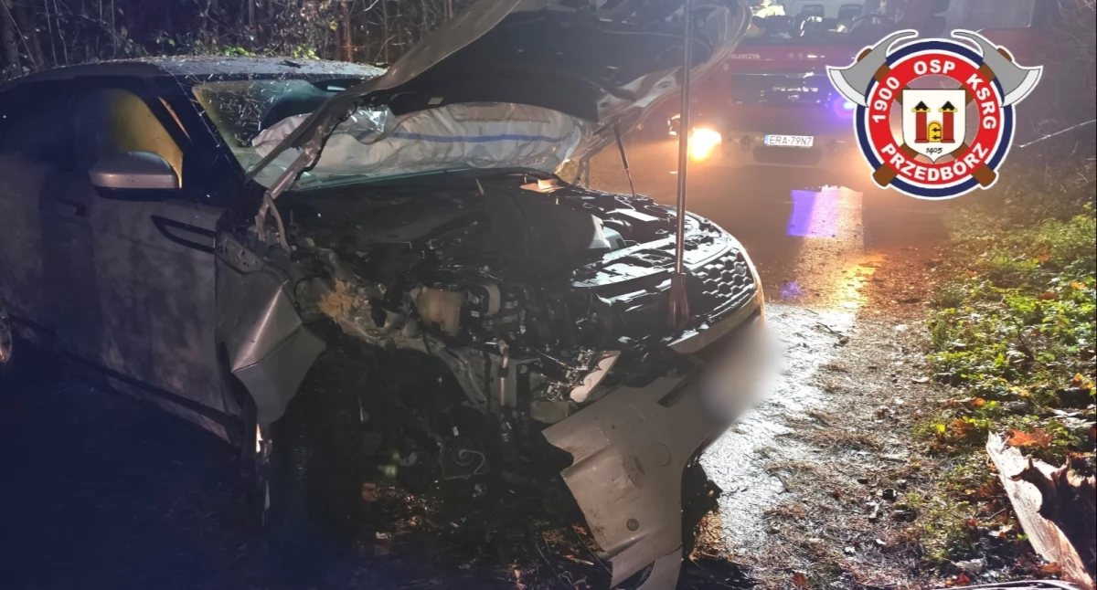 Na zdjęciu: Kierowca uderzył w drzewo, fot. Facebook/OSP Przedbórz
