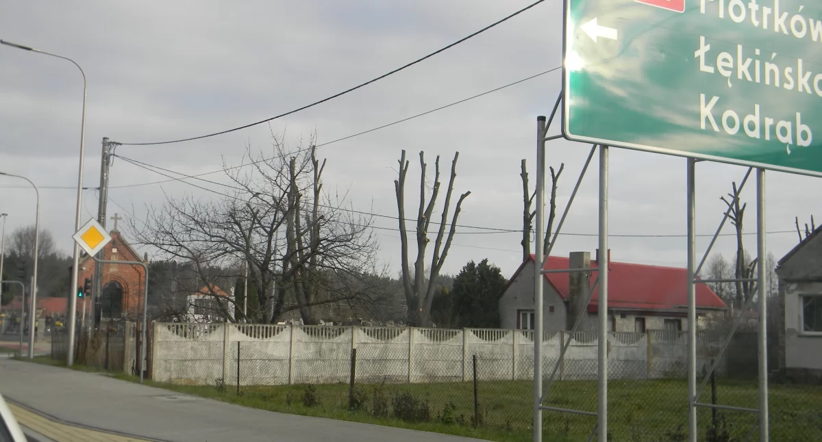 Na zdjęciu: Drzewa na cmentarzu w Gomunicach, fot. nadesłane