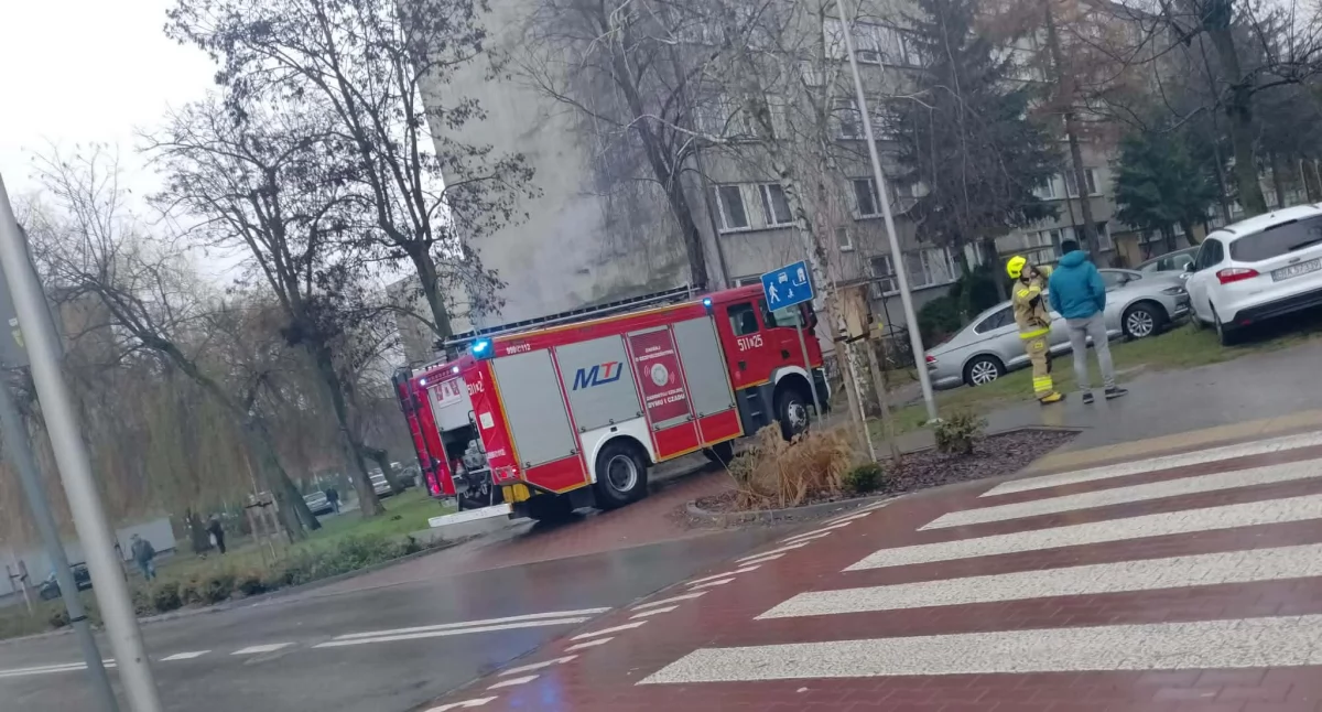 Na zdjęciu: Na miejsce wysłało cztery wozy, fot. nadesłane