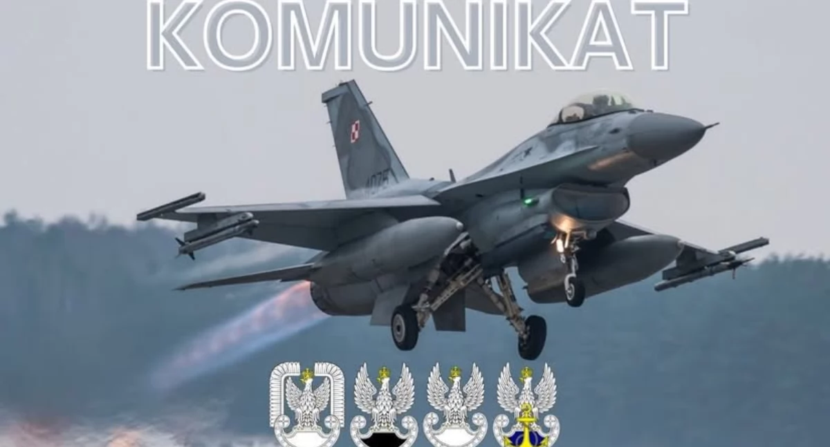 Na zdjęciu: Grafika, fot. Facebook Dowództwa Generalnego Rodzajów Sił Zbrojnych