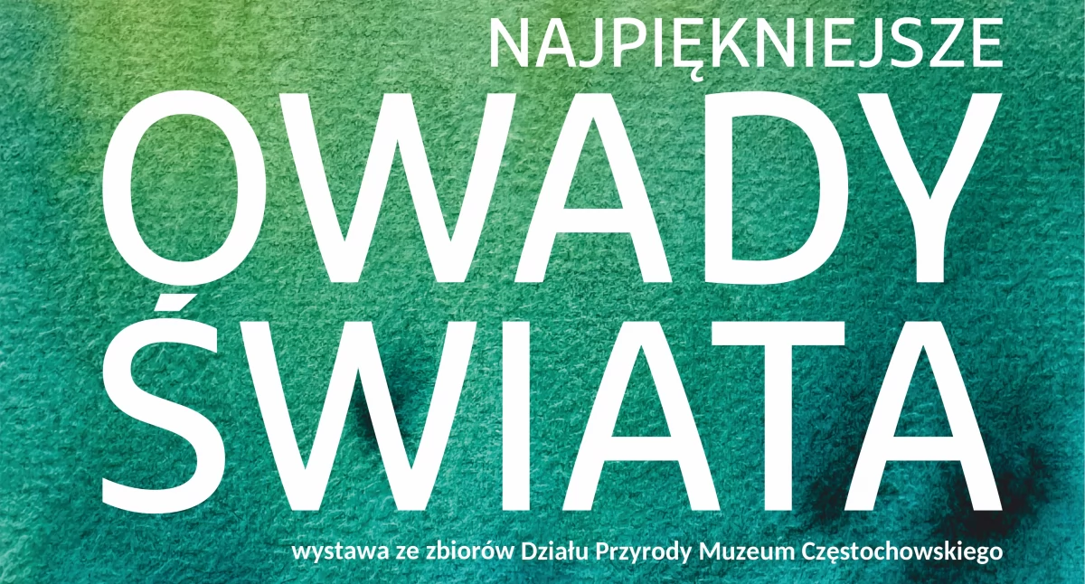 Na zdjęciu: Plakat wystawy, fot. MR