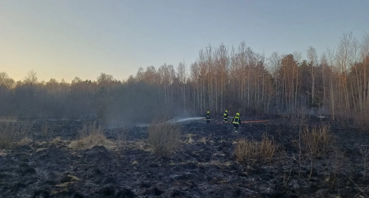 Na zdjęciu: Takich pożarów wiosną jest bardzo dużo, fot. Facebook/OSP Gomunice/OSP Żytno