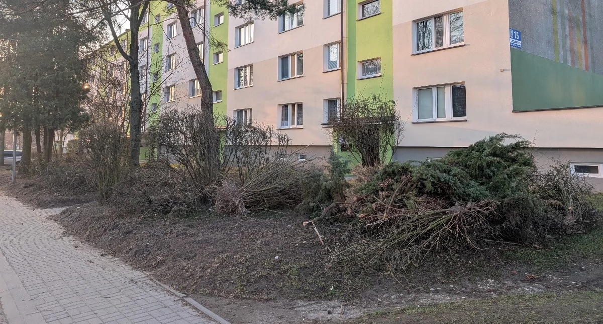 Na zdjęciu: Blok przy Leszka Czarnego 15