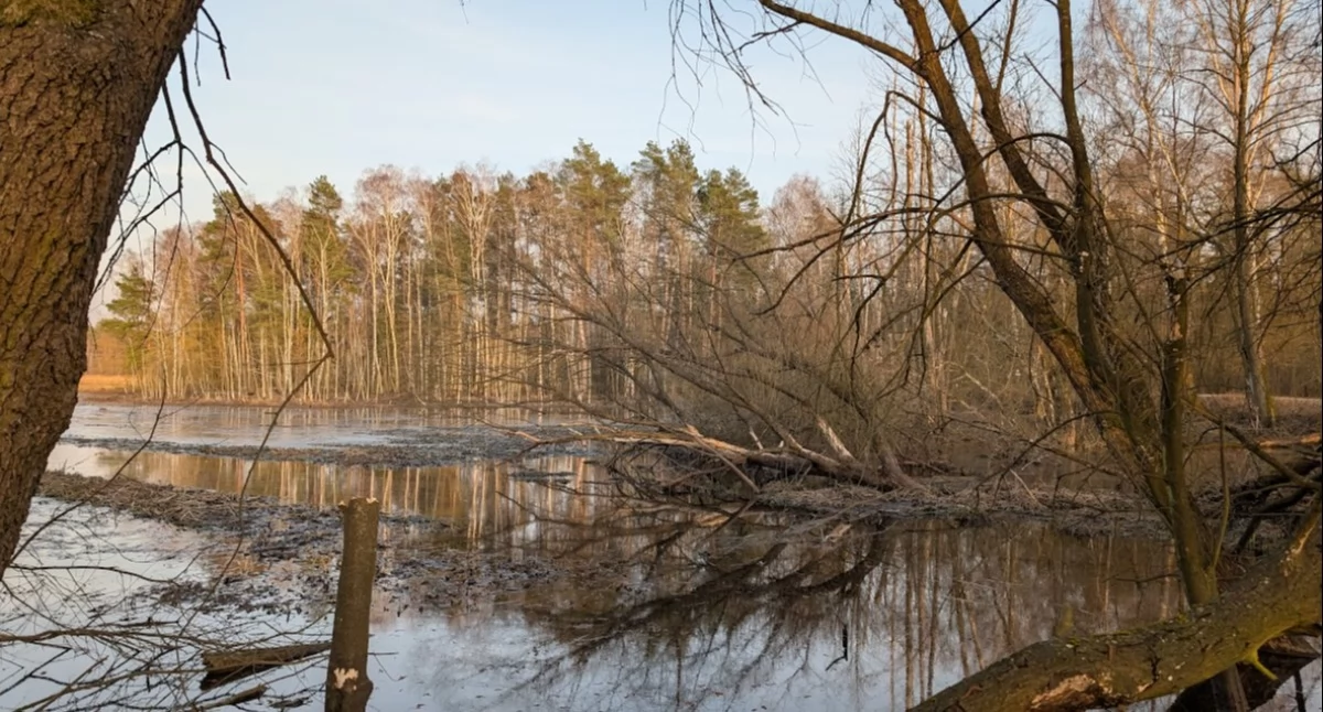 Powiat, Konkurs dotacje lokalnych organizacji powiecie radomszczańskim - zdjęcie, fotografia