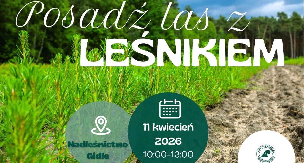 Na zdjęciu plakat, fot. Facebook/Nadleśnictwo Gidle, PGL Lasy Państwowe
