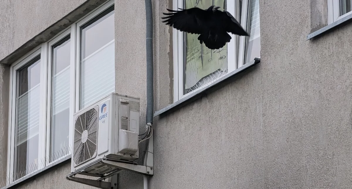 Na zdjęciu: Mieszkańcy bloków coraz częściej zakładają klimatyzację