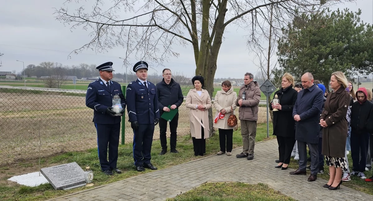 Na zdjęciu: Dąb posadzono na terenie miejscowej szkoły podstawowej, fot. Andrzej Grochowalski