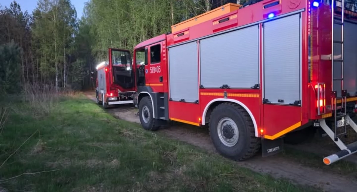 Na zdjęciu: Kilka dni temu las gasili strażacy z Kamieńska, fot. Facebook/OSP Kamieńsk