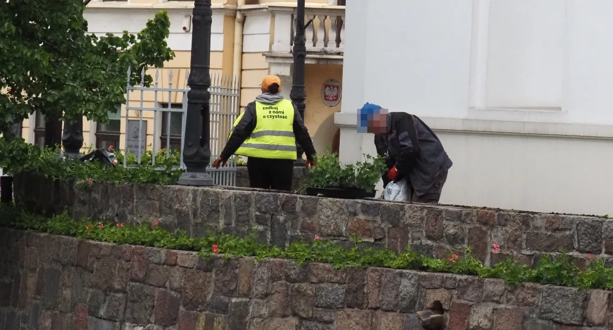 Na zdjęciu: Prace na terenie parafii św. Lamberta