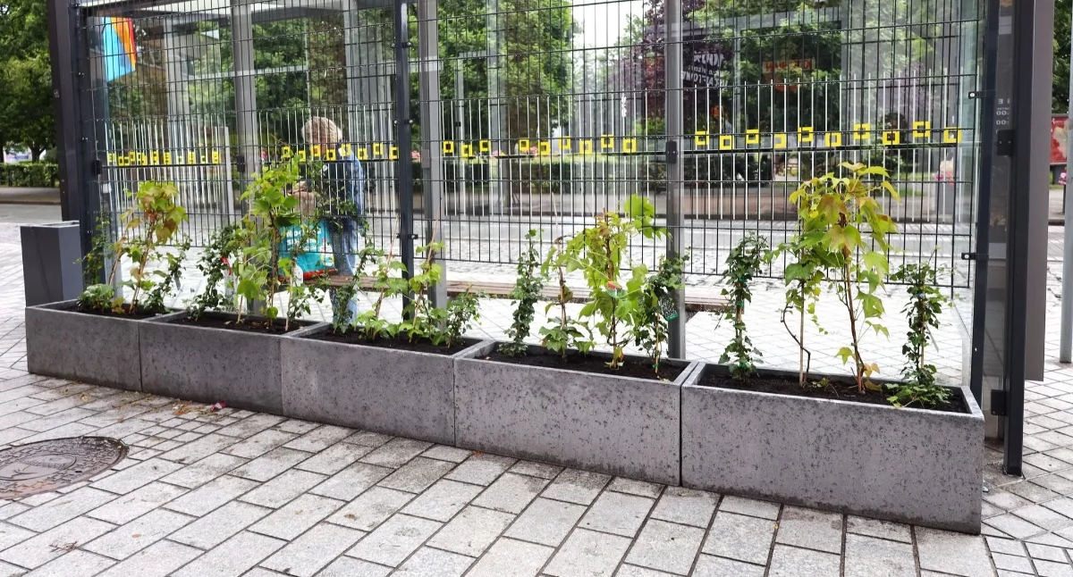 Na zdjęciu: To nowy pomysł urzędu miasta, fot. Facebook/Radomsko Miasto Otwarte
