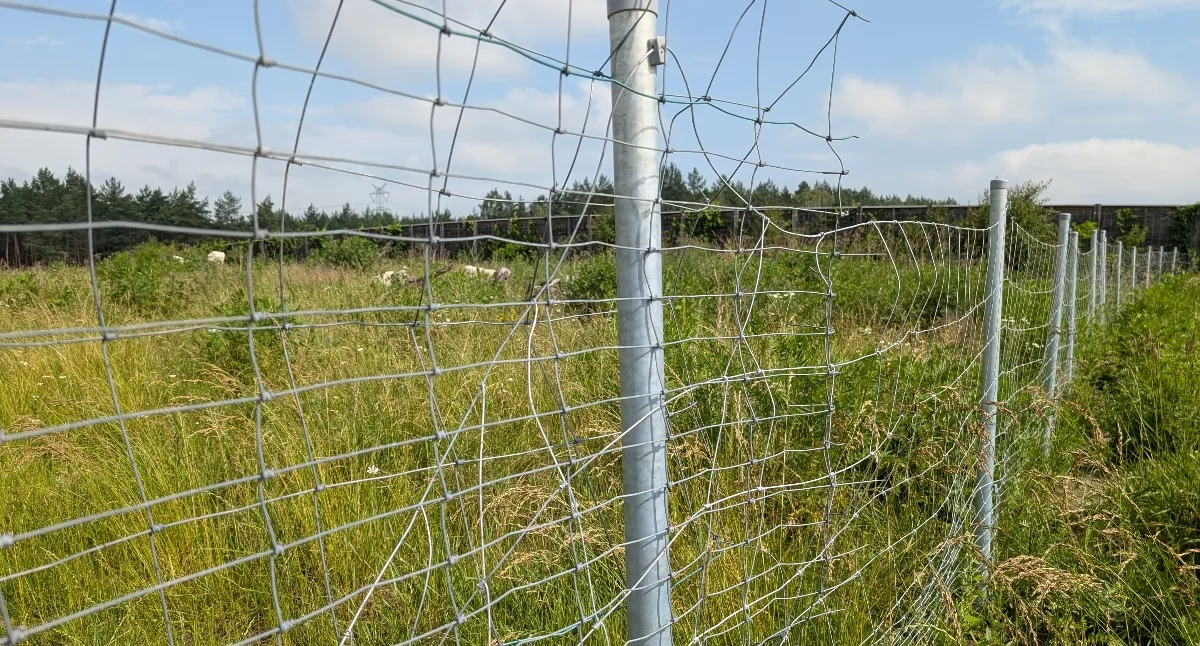 Na zdjęciu: Przejścia zagrodzono siatką