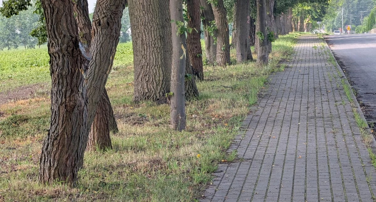 Na zdjęciu: Czytelniczka zwróciła uwagę na oznaczenia