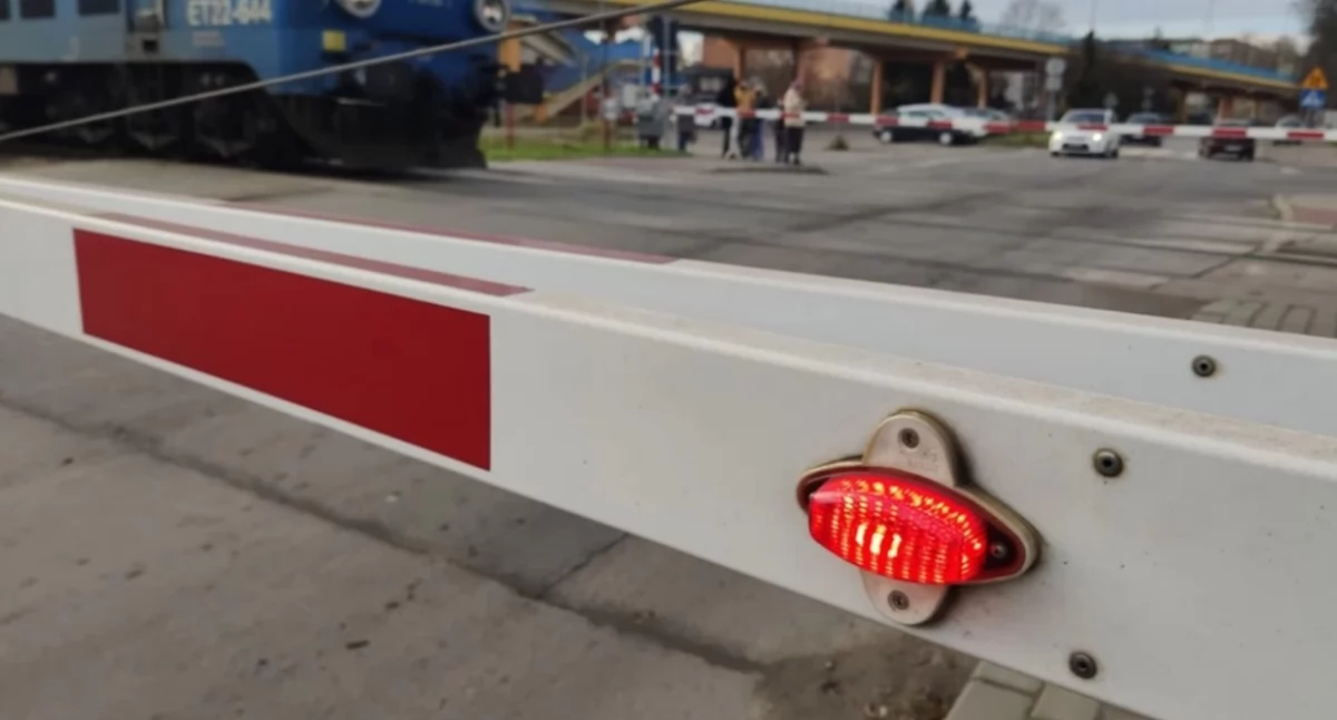 Na zdjęciu: 