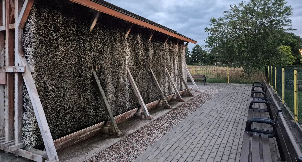 Inwestycje, Tężnie zdrowie bardzo „Odnotowano większe stężenie bakterii kałowych powietrzu pobranym obór - zdjęcie, fotografia