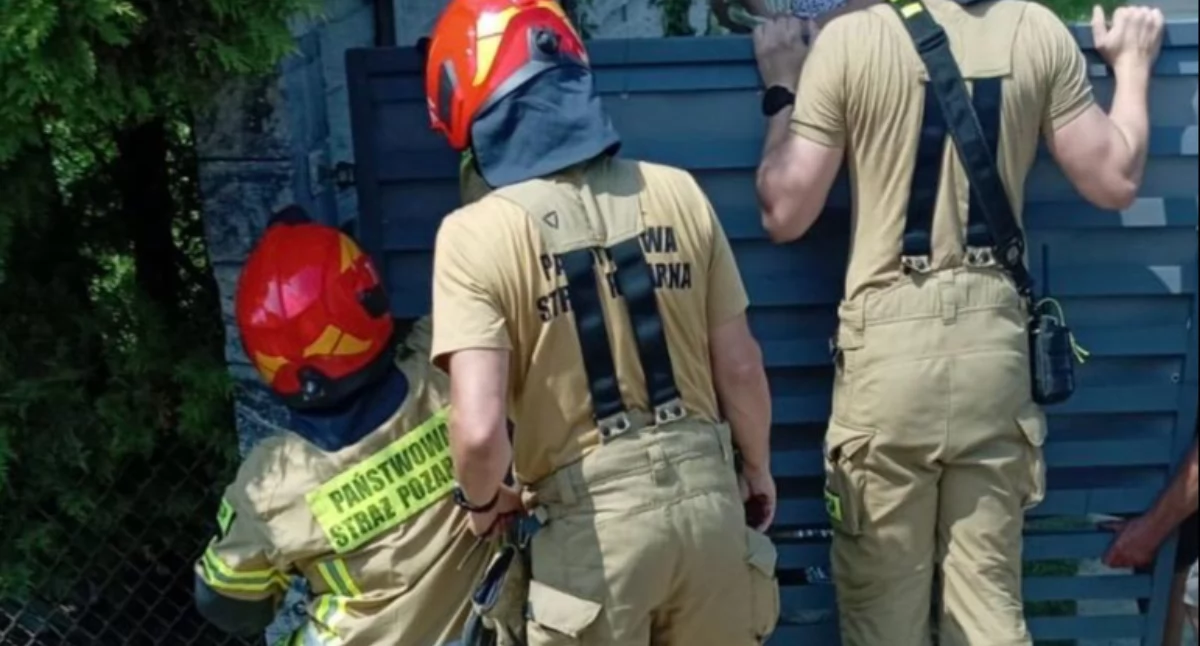Na zdjęciu: Strażacy uwolnili psa, fot. KP PSP Radomsko