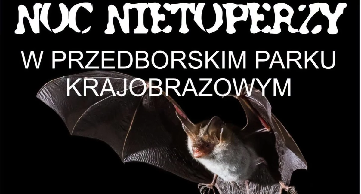 Na zdjęciu: plakat , fot. Facebook/Urząd Miejski w Przedborzu