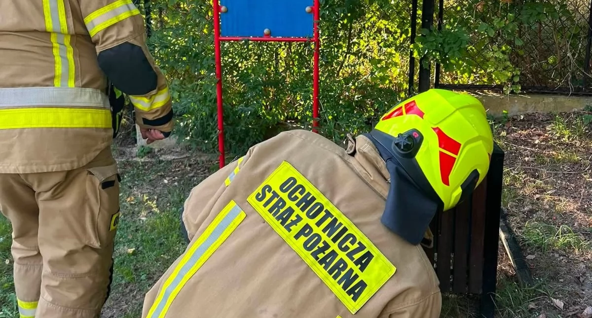 Na zdjęciu: Gniazdami os zajęli się strażacy ochotnicy z OSP Dobryszyce, fot. Facebook/OSP Dobryszyce 