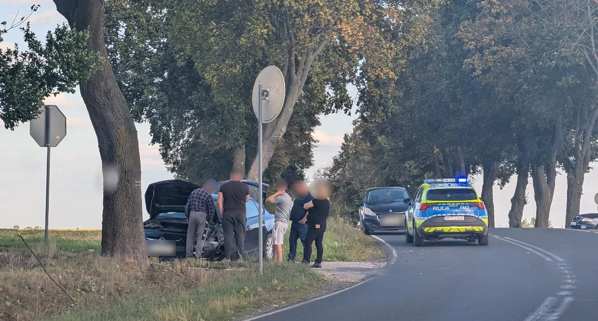 Na zdjęciu: Na szczęście nikomu nic się nie stało
