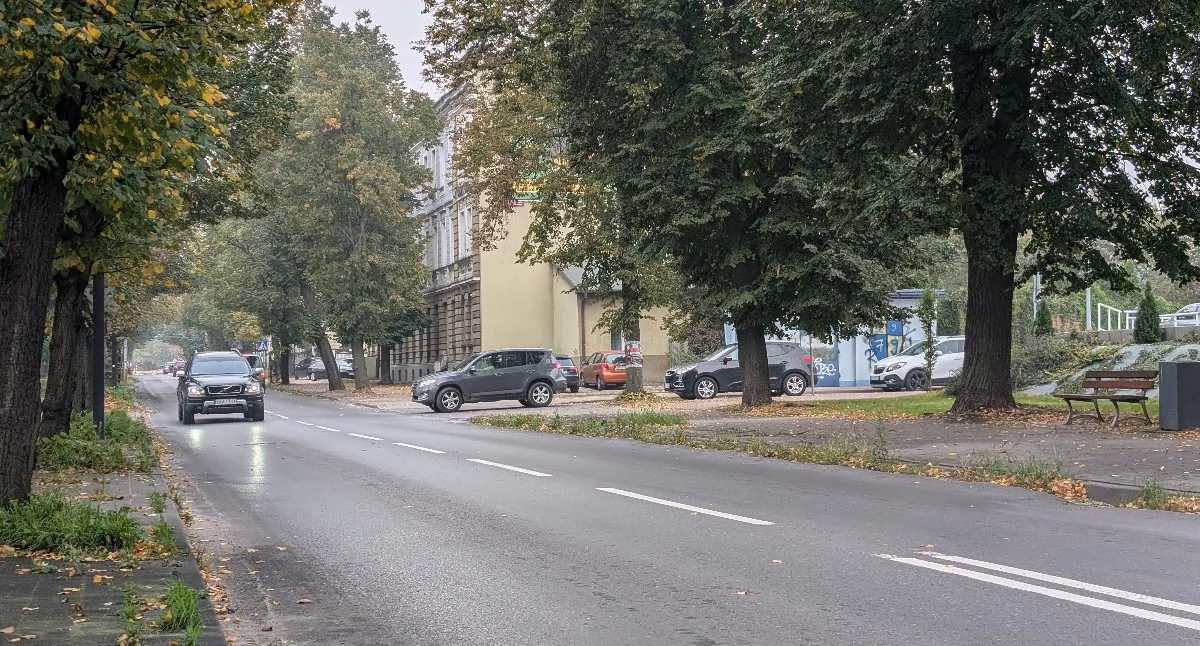 Na zdjęciu: Mieszkanka chciałaby przystanku na Kościuszki, naczelnik mówi, że to niemożliwe