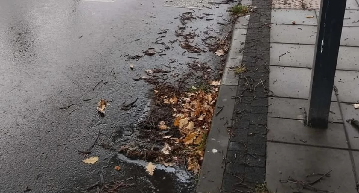 Na zdjęciu: Zapchane studzienki, fot. nadesłana