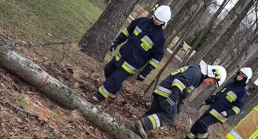Zdj. Facebook/ OSP Przedbórz, OSP Żytno, OSP Kamieńsk 