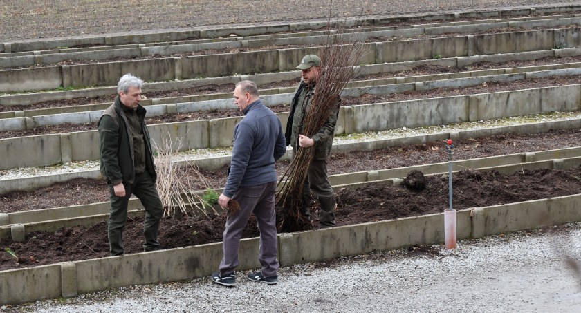 Na zdjęciu: radomszczanie w Szkółce Leśnej w Strzałkowie. Fot. Urząd Miasta Radomsko. 