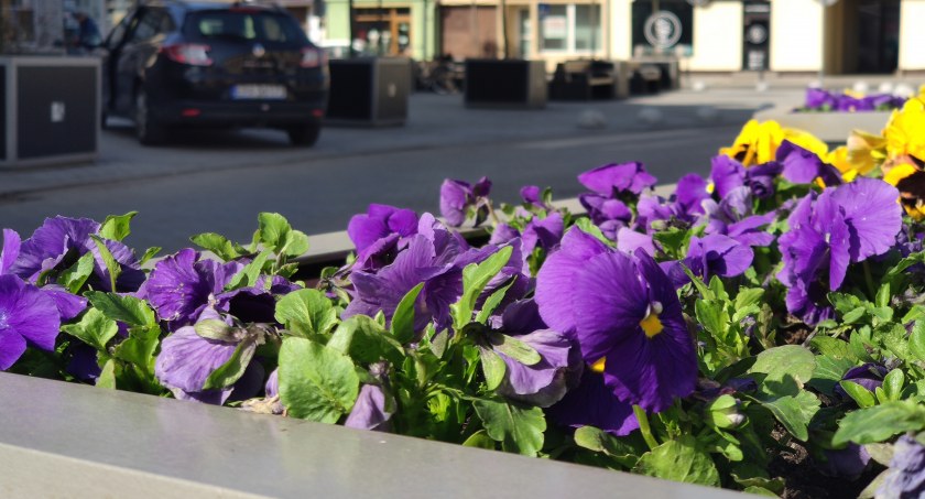 Na zdjęciu centrum Radomska, ulica Reymonta