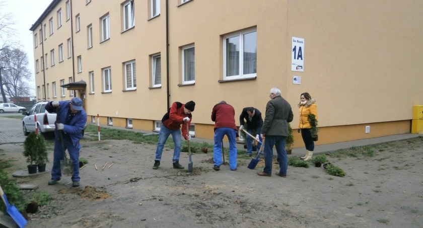 Na zdjęciu sadzenie zieleni wokół bloku socjalnego przy ul. św. Rozalii. Brał w nim udział m.in. prezes spółki Krzysztof Górnik