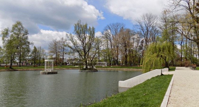 Na zdjęciu park Świętojański, w którym największym problemem są ptaki. 