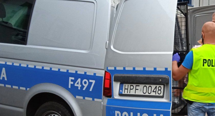 Na zdjęciu radiowóz policyjny, transportujący podejrzanych. Zdjęcie arch. 
