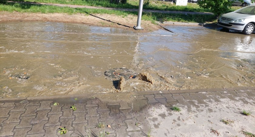 Na zdjęciu nieczystości wydobywające się ze studzienki
