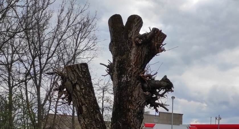 Na zdjęciu: efekt 