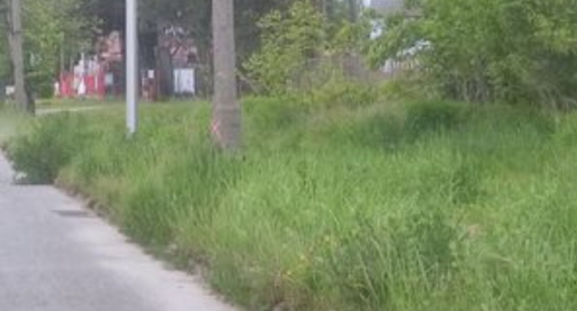 Na zdjęciu ulica Sucharskiego - fot. Czytelnik