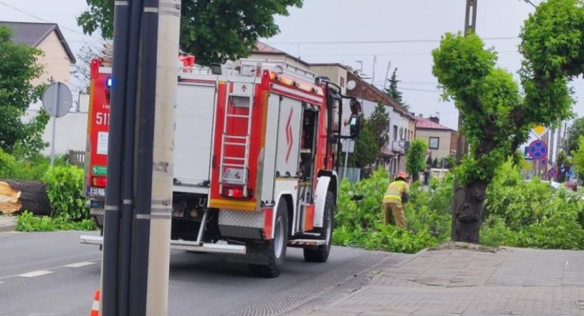 Na zdjęciu drzewo przy ulicy Narutowicza, które w sobotę 28 maja przewrócił silny podmuch wiatru - fot. Facebook/Lidia Wrońska Bęben