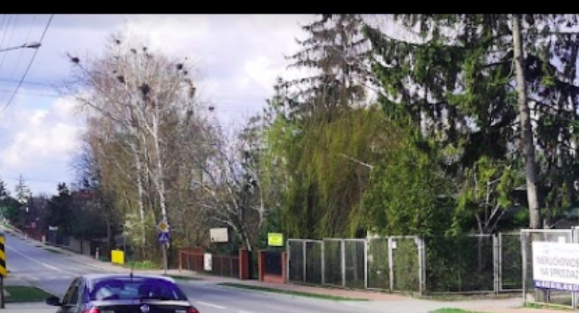 Na zdjęciu: Wierzbica w gminie Ładzice. Fot. Google Maps. 