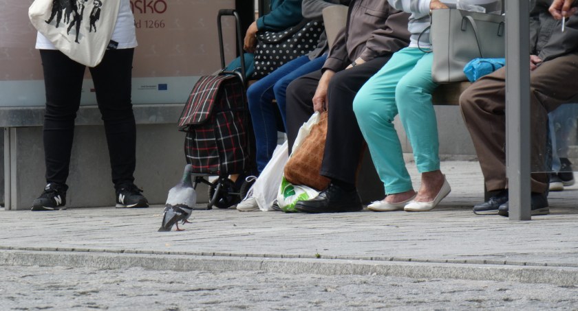 Na zdjęciu: mieszkańcy Radomska. Między 2019 a 2021 Radomsku ubyło dwa tysiące mieszkańców. 
