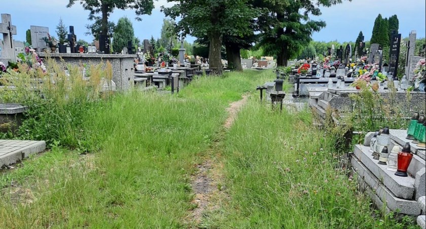 Na zdjęciu jedna z alejek na Nowym Cmentarzu - fot. Czytelnik