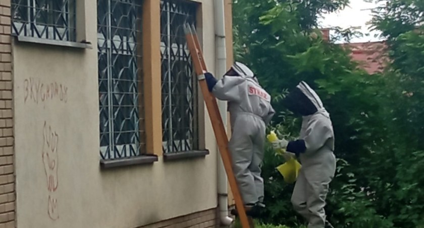 Na zdjęciu strażacy w akcji - fot. Facebook/OSP Wielgomłyny