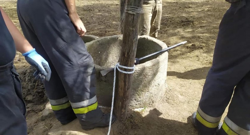 Na zdjęciu akcja ratowania zwierzęcia. Fot. OSP KSRG Wielgomłyny. 