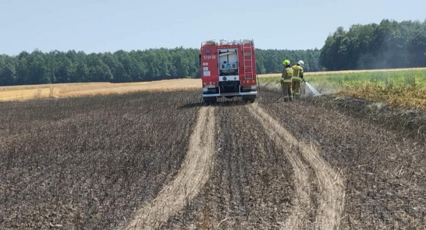 Powierzchnia objęta pożarem była mniejsza niż w Korytnie. Zdjęcie: OSP Kobiele Wielkie. 