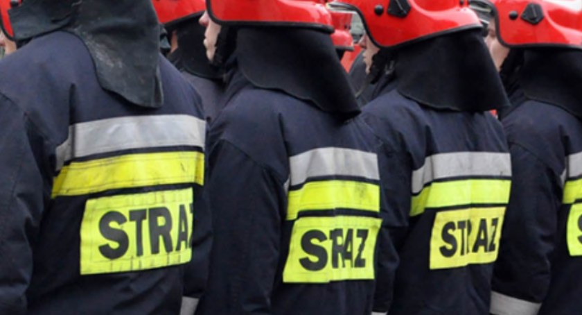 Zdjęcie: Strażacy Państwowej Straży Pożarnej. Gov.pl.