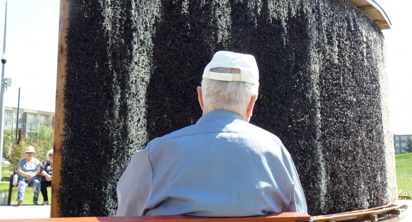 Na zdjęciu nowa tężnia na Wielorybku