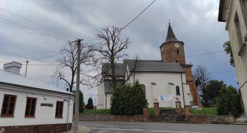 Na zdjęciu zatrute drzewa w Przedborzu - fot. Paweł Zięba