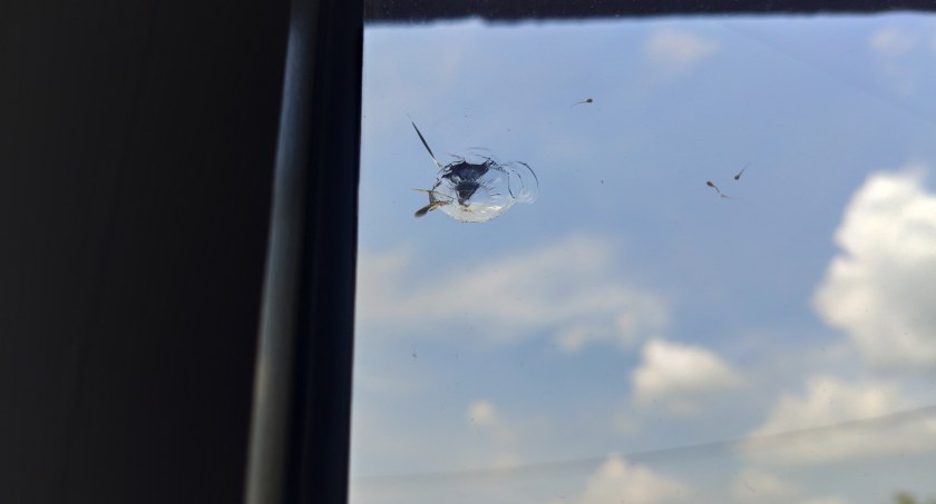 Na zdjęciu ślady po strzałach
